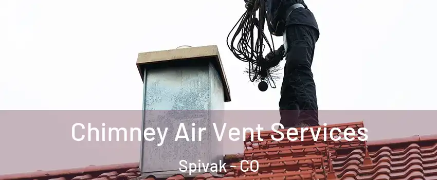 Chimney Air Vent Services Spivak - CO