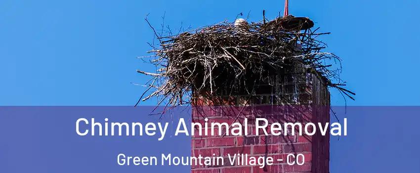 Chimney Animal Removal Green Mountain Village - CO