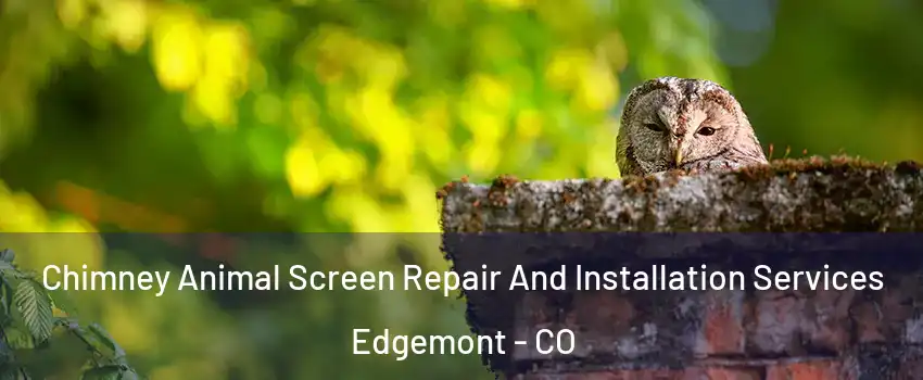 Chimney Animal Screen Repair And Installation Services Edgemont - CO