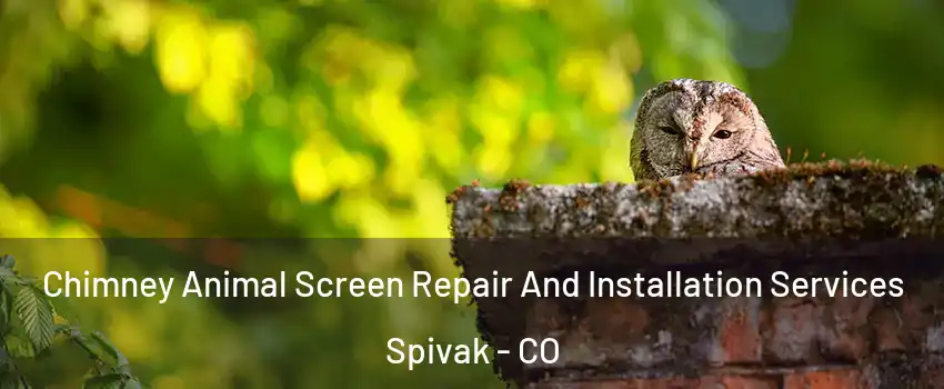 Chimney Animal Screen Repair And Installation Services Spivak - CO