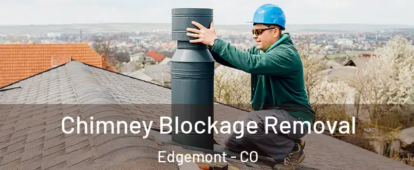 Chimney Blockage Removal Edgemont - CO