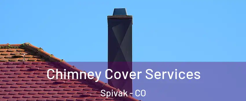 Chimney Cover Services Spivak - CO