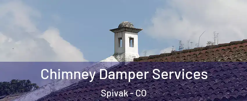 Chimney Damper Services Spivak - CO