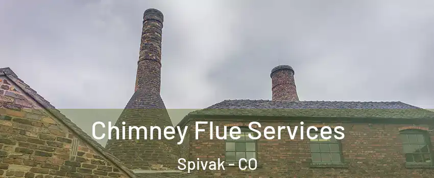 Chimney Flue Services Spivak - CO
