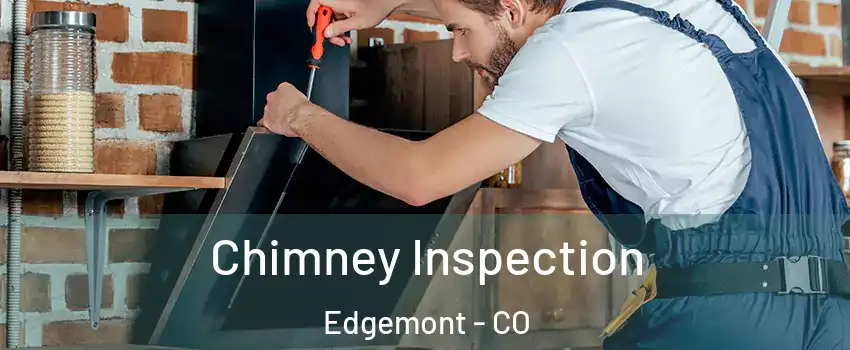 Chimney Inspection Edgemont - CO
