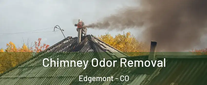 Chimney Odor Removal Edgemont - CO