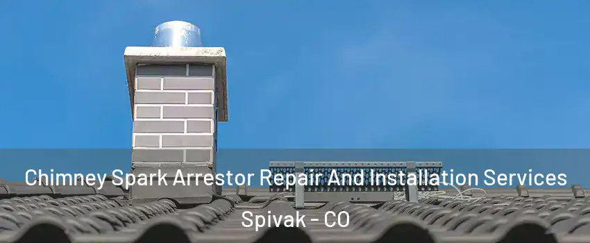 Chimney Spark Arrestor Repair And Installation Services Spivak - CO