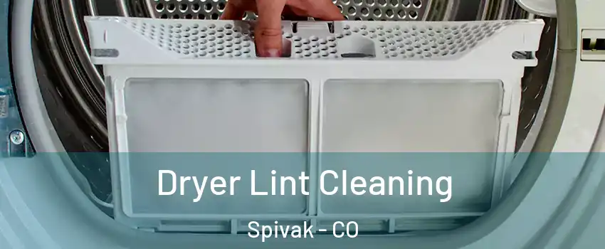 Dryer Lint Cleaning Spivak - CO