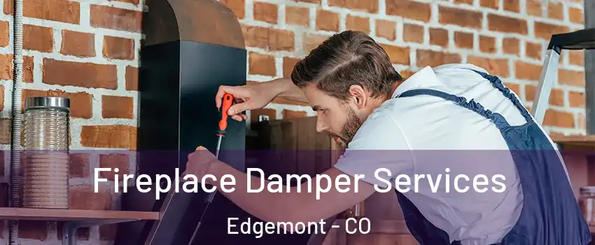 Fireplace Damper Services Edgemont - CO