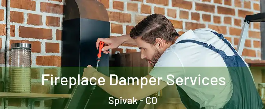 Fireplace Damper Services Spivak - CO