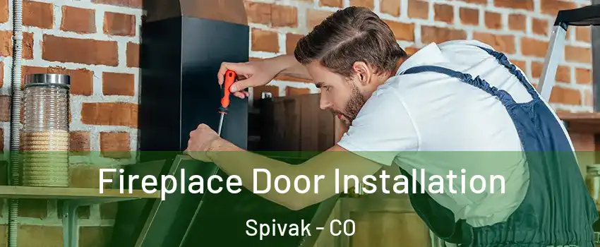 Fireplace Door Installation Spivak - CO