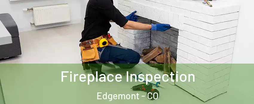 Fireplace Inspection Edgemont - CO