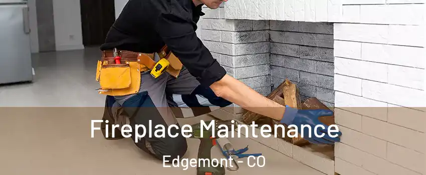 Fireplace Maintenance Edgemont - CO