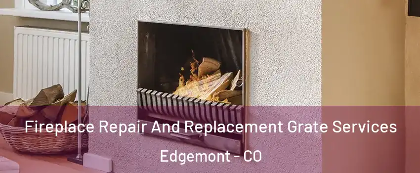 Fireplace Repair And Replacement Grate Services Edgemont - CO