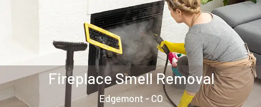 Fireplace Smell Removal Edgemont - CO