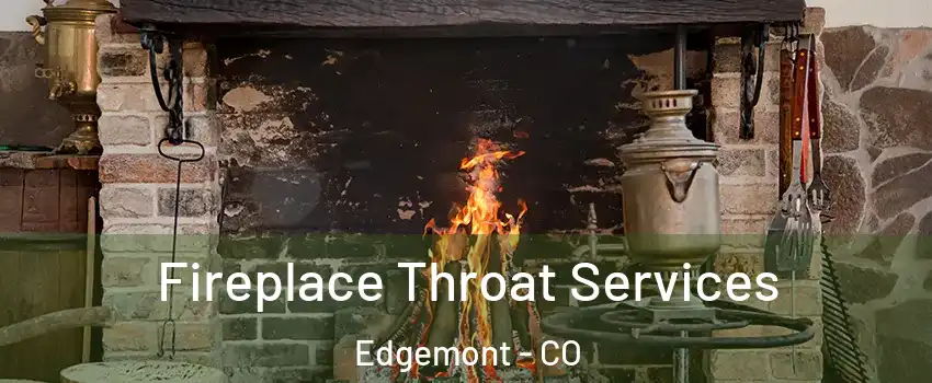 Fireplace Throat Services Edgemont - CO