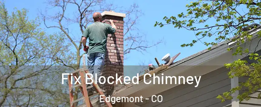 Fix Blocked Chimney Edgemont - CO