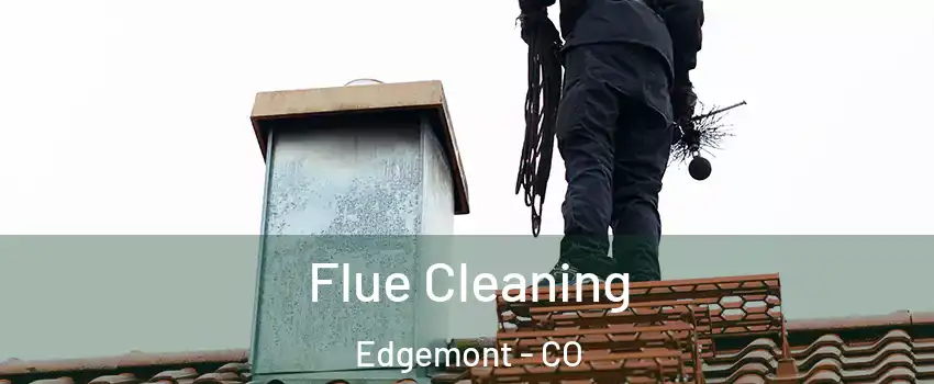 Flue Cleaning Edgemont - CO