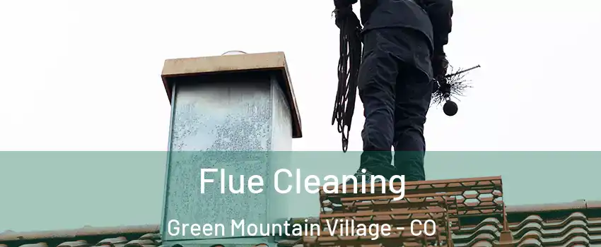 Flue Cleaning Green Mountain Village - CO