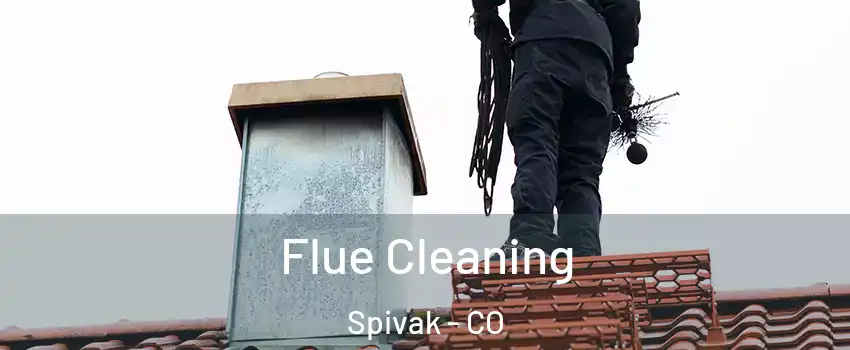 Flue Cleaning Spivak - CO