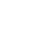 Professional Chimney Flue Installation in Lakewood, Colorado