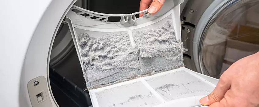 Best Dryer Lint Removal Company in Edgemont, Colorado