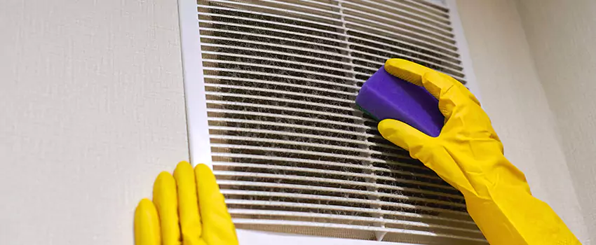 Vent Cleaning Company in Edgemont, CO