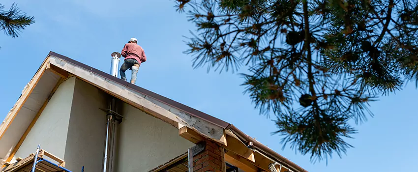 Birds Removal Contractors from Chimney in Edgemont, CO
