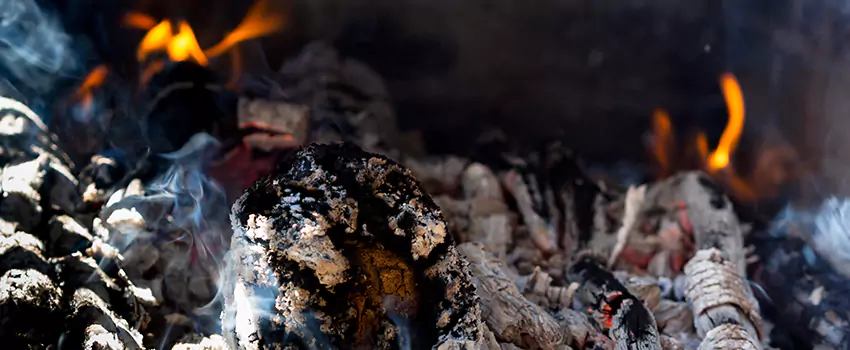 Creosote Removal Experts in Green Mountain Village, CO