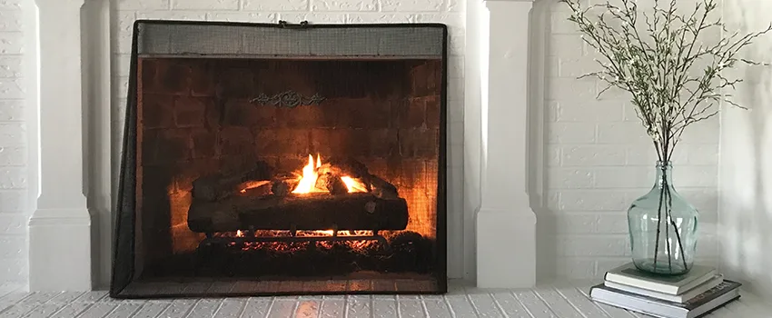 Cost-Effective Fireplace Mantel Inspection And Maintenance in Edgemont, CO