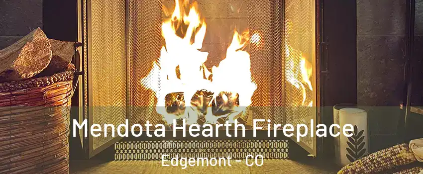 Mendota Hearth Fireplace Edgemont - CO