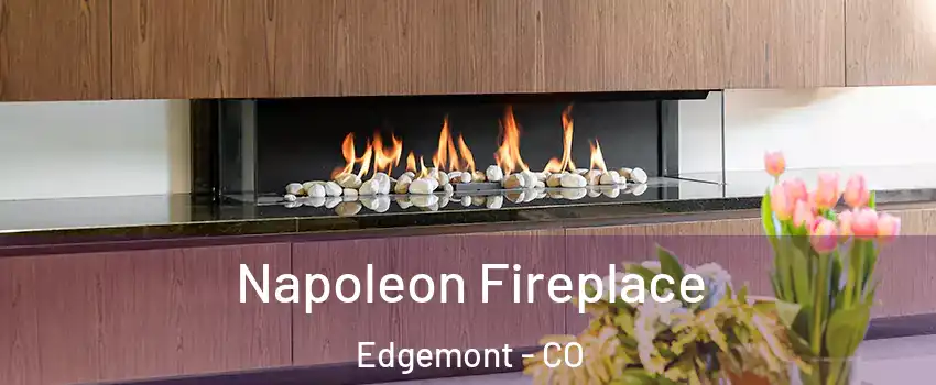 Napoleon Fireplace Edgemont - CO