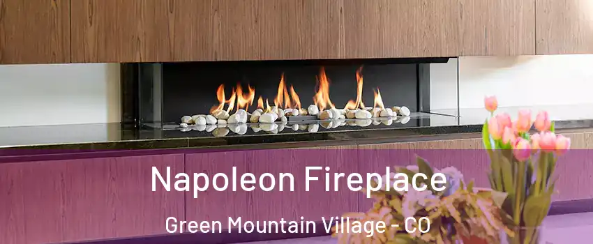 Napoleon Fireplace Green Mountain Village - CO
