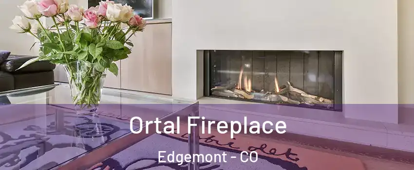 Ortal Fireplace Edgemont - CO