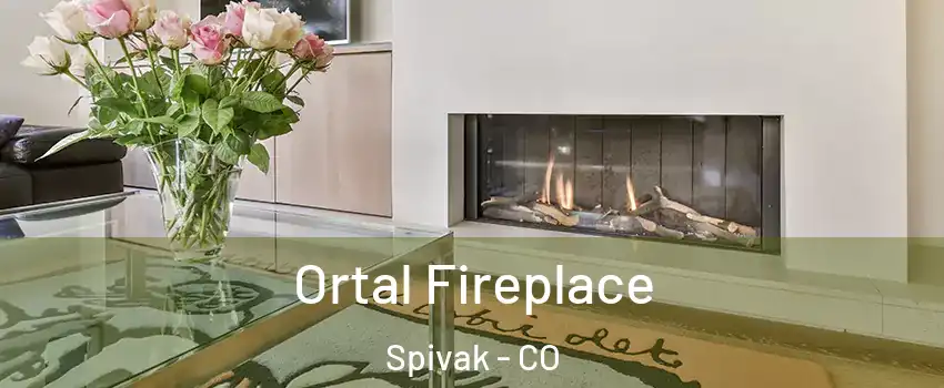Ortal Fireplace Spivak - CO