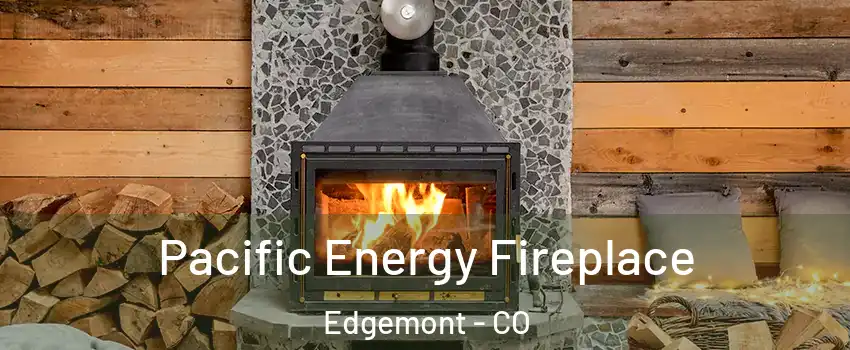 Pacific Energy Fireplace Edgemont - CO